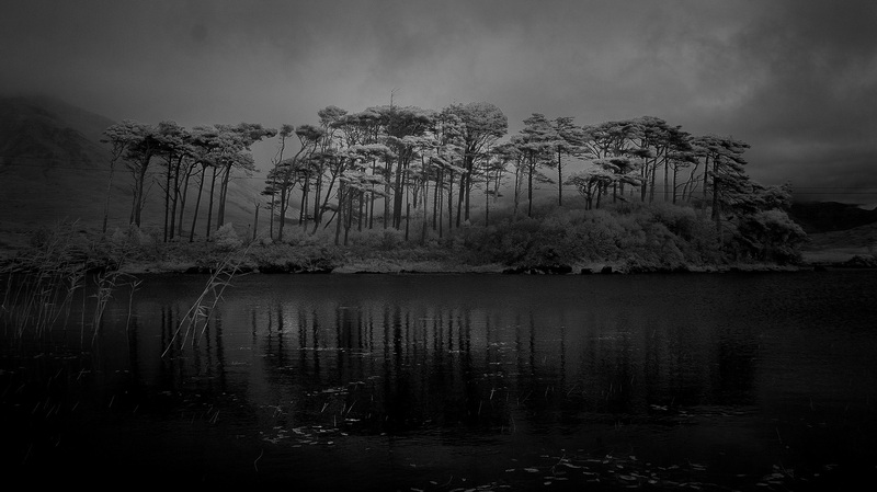 Pine Island (BW) 2.jpg :: Pine Island on Derryclare Lough, Connemara County, Galway