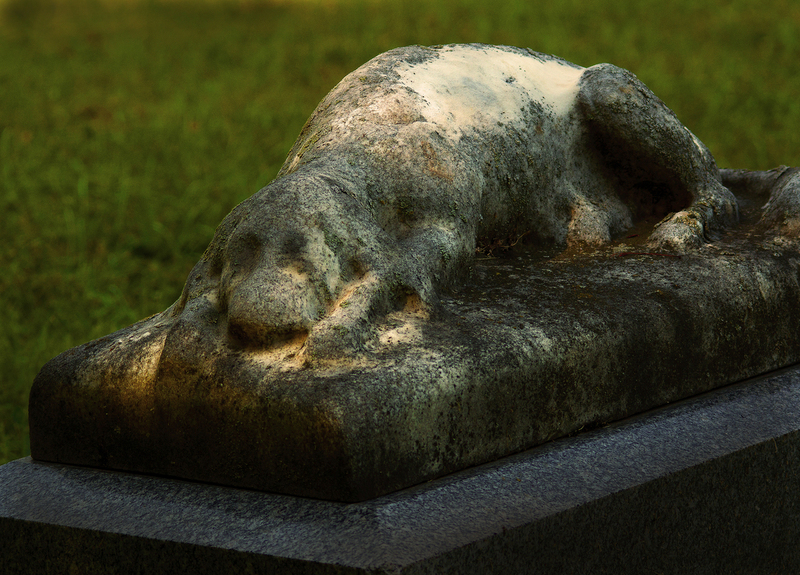 PuppyGravestone_OakRidge.jpg :: Loving Dog on Infant Gravestone, Son of John Rosette 