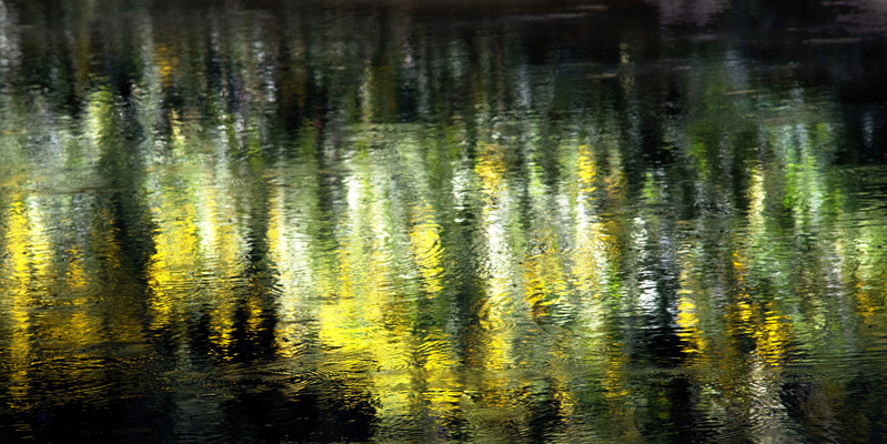 Reflections in the Sangamon 1.jpg :: Reflections in the Sangamon River, Lodge Park