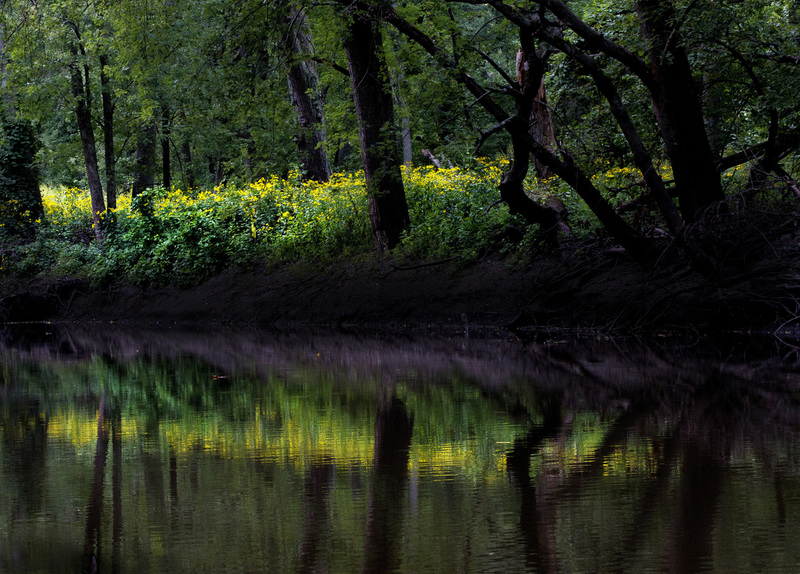 Reflections in the Sangamon.jpg :: Reflection in the Sangamon River in Lodge Park, Piatt Co. Forest Preserve