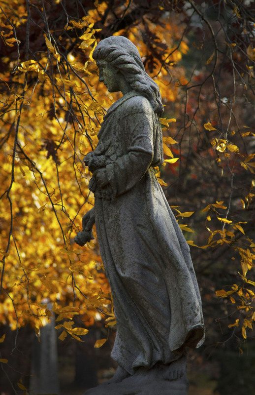 Rokker2.jpg :: Statue on Grave of John Rokker, 1881-1882 (Age 6 Weeks)
