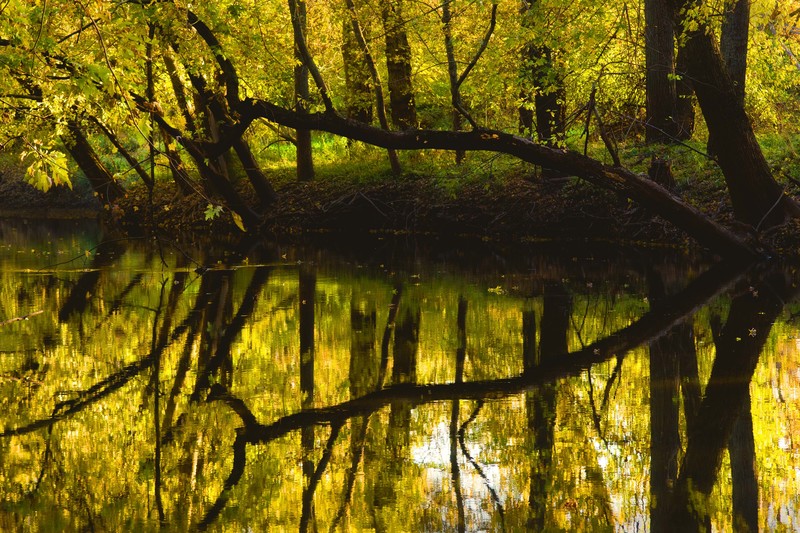 Sangamon River Autumn 3.jpg :: Sangamon River, Piatt Co.