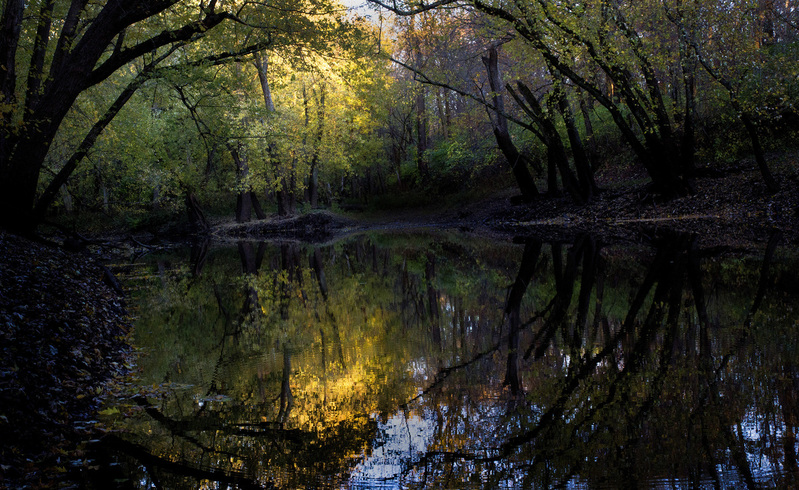 Sangamon River Autumn 4.jpg :: Sangamon River at Shady Rest Forest Preserve, near White Heath, Piatt County
