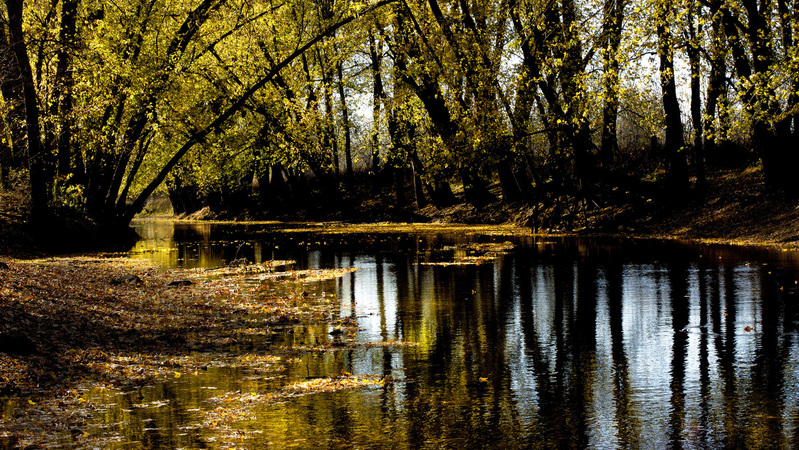 Sangamon River Autumn 5.jpg :: Sangamon River, Sangamon River Forest Preserve, Champaign County