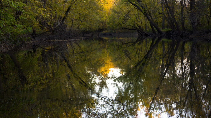 Sangamon River Autumn 6.jpg :: Sangamon River, Piatt Co.