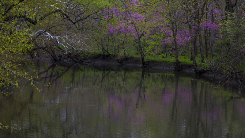 ShadyRest01.jpg :: The Sangamon River, Shady Rest Forest Preserve, Piatt County