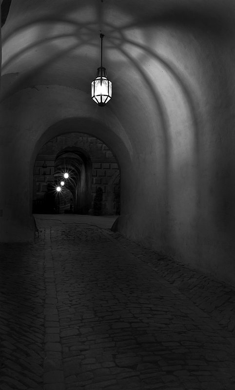 SpiderShadow_CeskyKrumlov.jpg :: Passage Way to the Cloak Bridge, Cesky Krumlov Castle