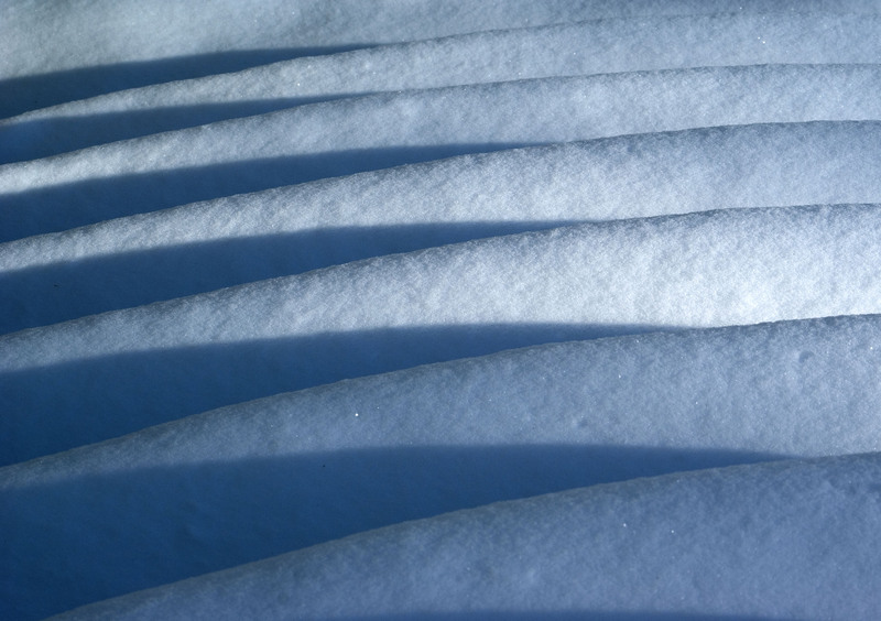 SunkenGarden6.jpg :: Snow covered steps at the garden's entrance