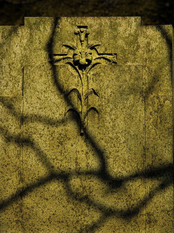 Tombstone10_OakRidge.jpg :: Lily on a Cross, late afternoon shadows