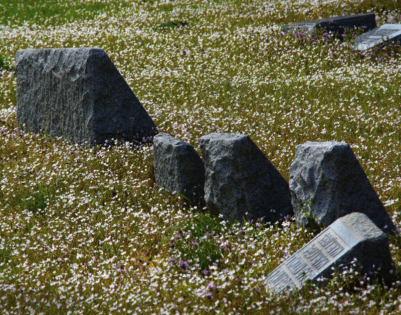 Tombstone9_OakRidge.jpg :: Spring Flowers among the Tombstones, Oak Ridge Cemetery