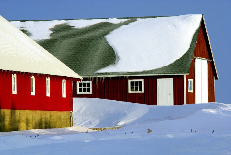 Twin Barns.jpg :: Red Barns near Weldon, DeWitt County