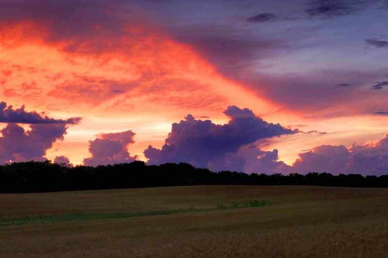 Wheat Field Sunset.jpg :: Sunset on Wheat Field near Allerton Park, Piatt County