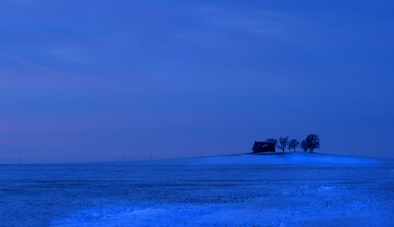 Winter Landscape 3.jpg :: January, Near Monticello, Piatt County