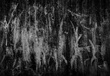 AbstractFiguresWebsite.jpg