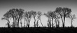 HedgerowRedframe.jpg
