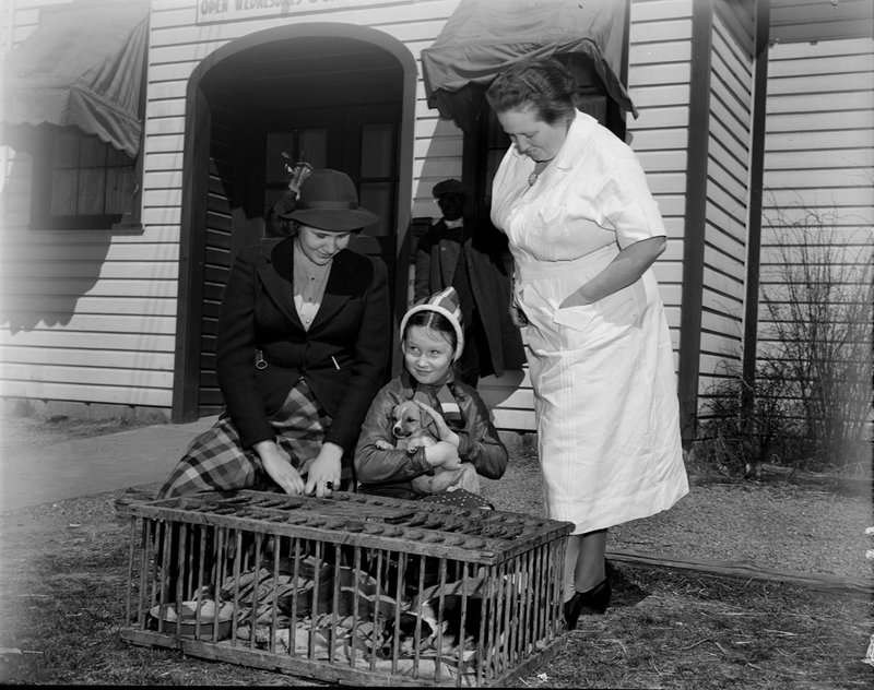 A211-D Montgomery Farm Womens Co-op Market Exterior Puppy Dog Children Wisconsin Ave 1939.jpg