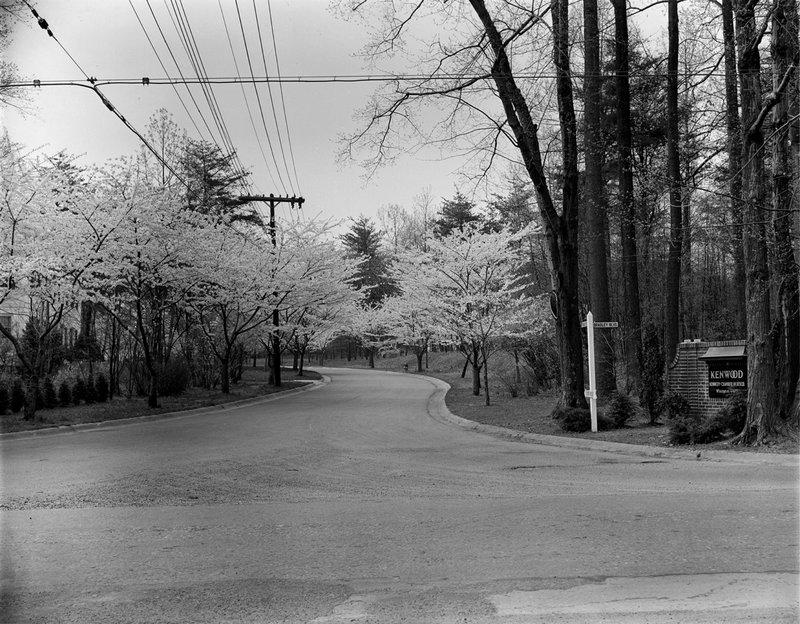 A368-12 Kenwood Cherry Blossoms Kenwood Sign 1939.jpg :: 1939 Kenwood Cherry Blossoms