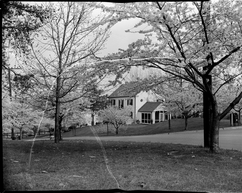 A368-2 Kenwood Cherry Bloosoms Home 1939.jpg :: 1939 Kenwood Cherry Blossoms