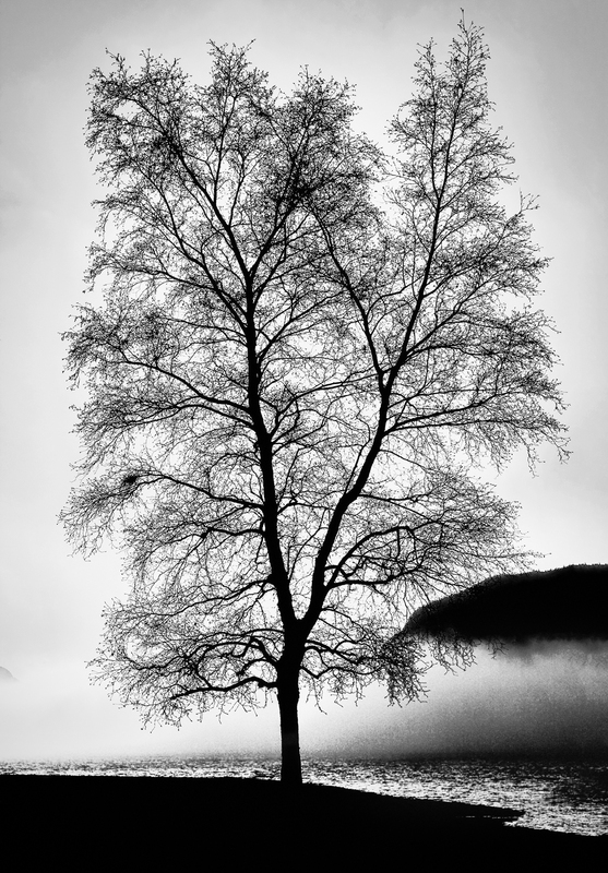_MG_8995r.jpg