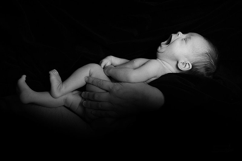 DSC_3356bw.jpg