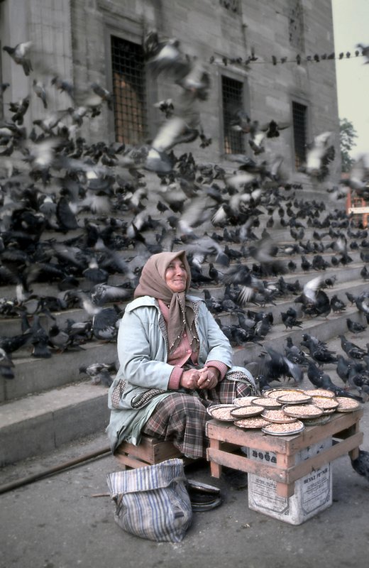 turkey 20a.jpg