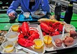 447e2d16-7e07-4039-b8ee-23e633b2e4ed1.jpg