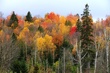 Fall 2009 016.jpg