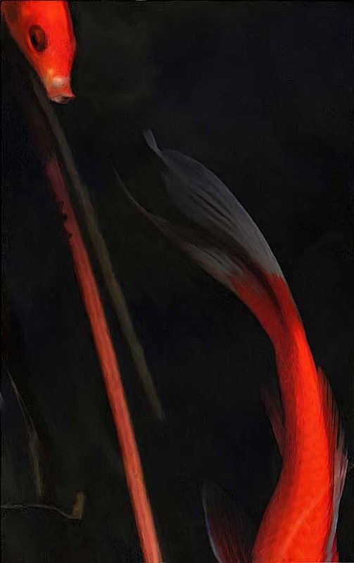 Abstract Lily Pond With Fish Painting.jpg