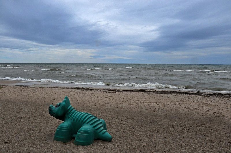 Dinosaur Beach.jpg