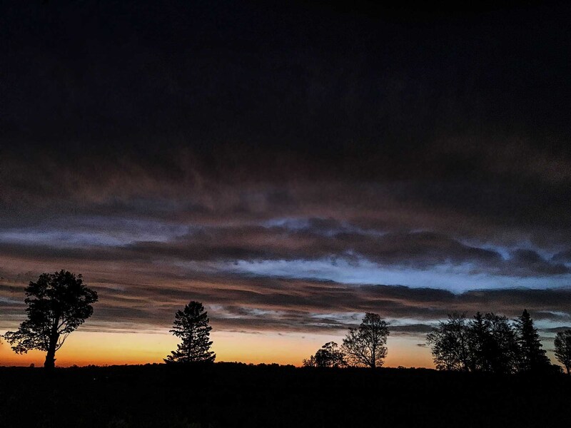 EM-Early Sunrise over field and trees.jpg
