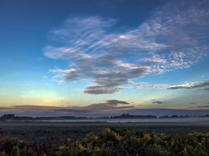 EM-Early morning farm in fog Abstract.jpg