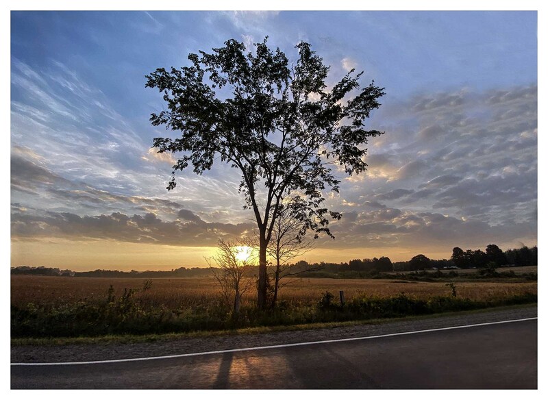 EM-Lone Tree Sunrise Paint.jpg