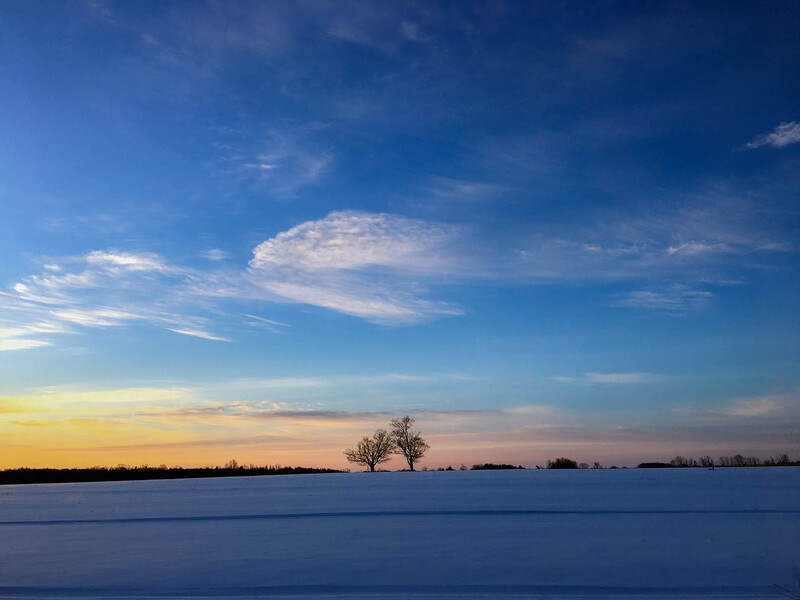 EM-Two Trees Sunrise Winter2.jpg