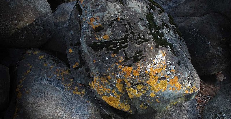 Early Light On Rocks.jpg