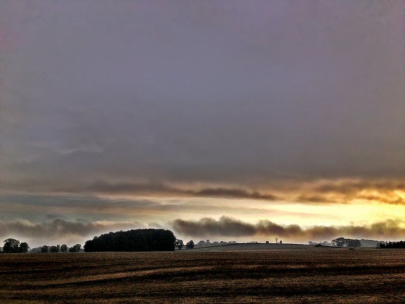 Farmers Field Morning.jpg