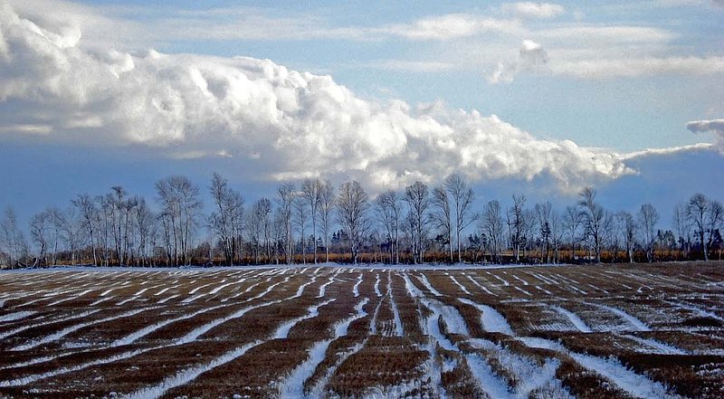 Farmers field  snow.jpg ::                                