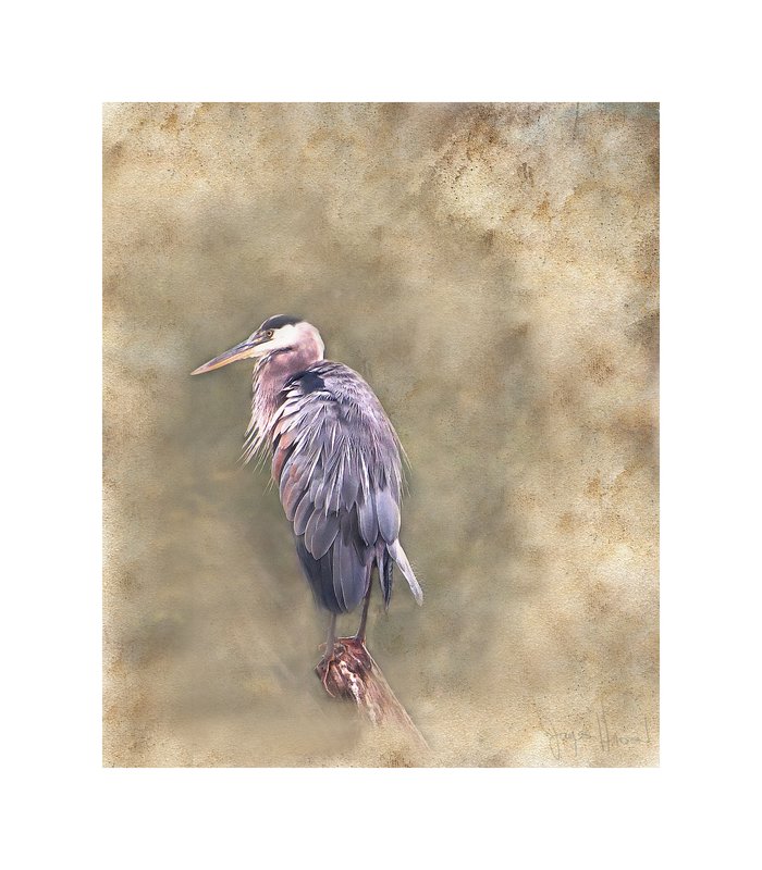Heron Perched Abstract.jpg
