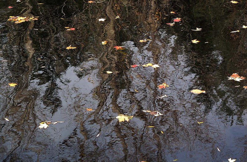 Holland Marsh.jpg ::                                
