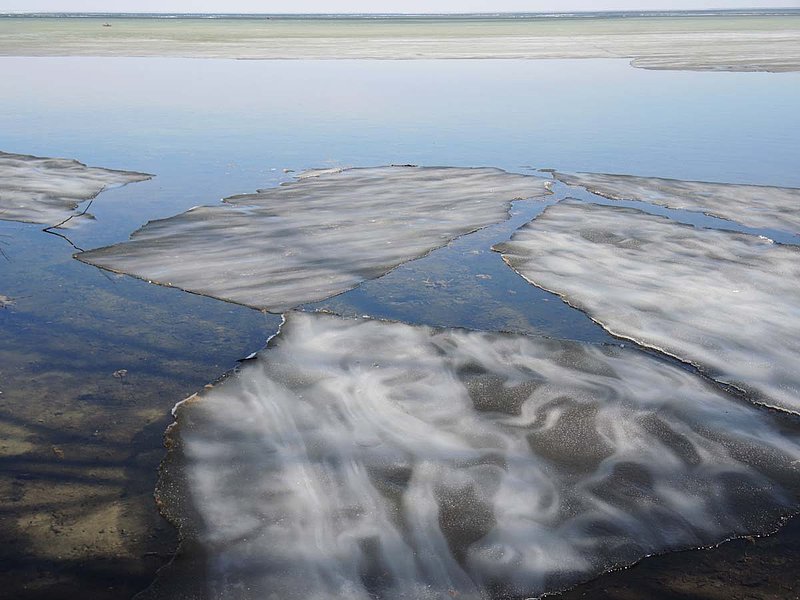 Ice Sheets At Shoreline.jpg