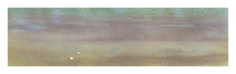 Leaves On The Beach.jpg