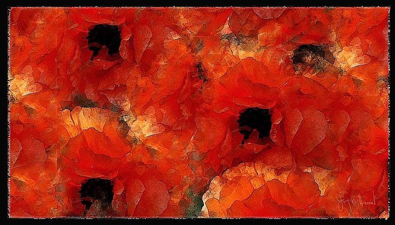 Poppies Painting Abstract.jpg