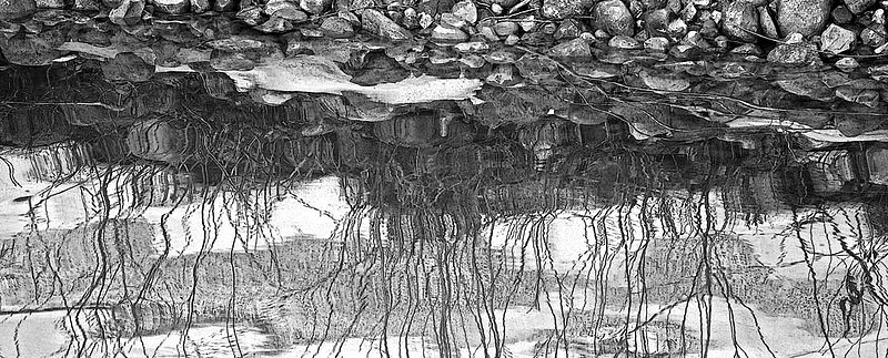 Rocks and Bush Lake Reflections.jpg