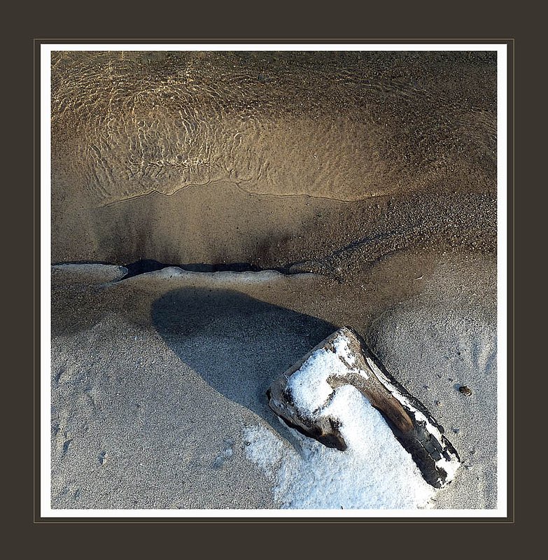 Sand Snow Wood Water.jpg