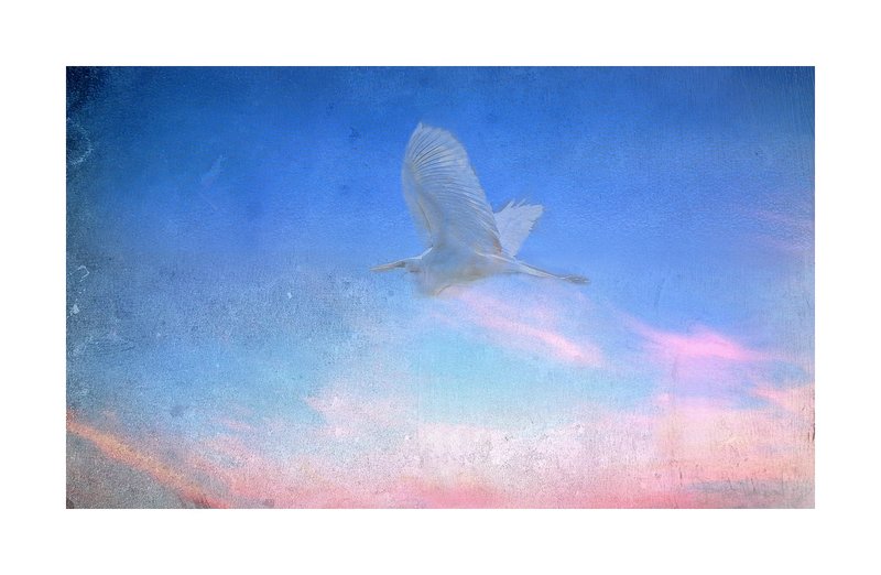 Sunset Abstract Egret.jpg