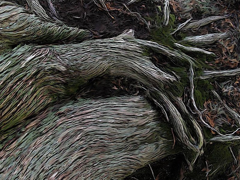 Tree Roots  Bark Painting.jpg ::                                