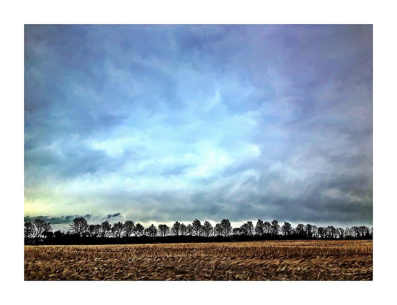 Trees Line In Storm - painting.jpg