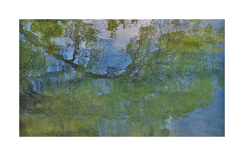 Willow Reflections.jpg