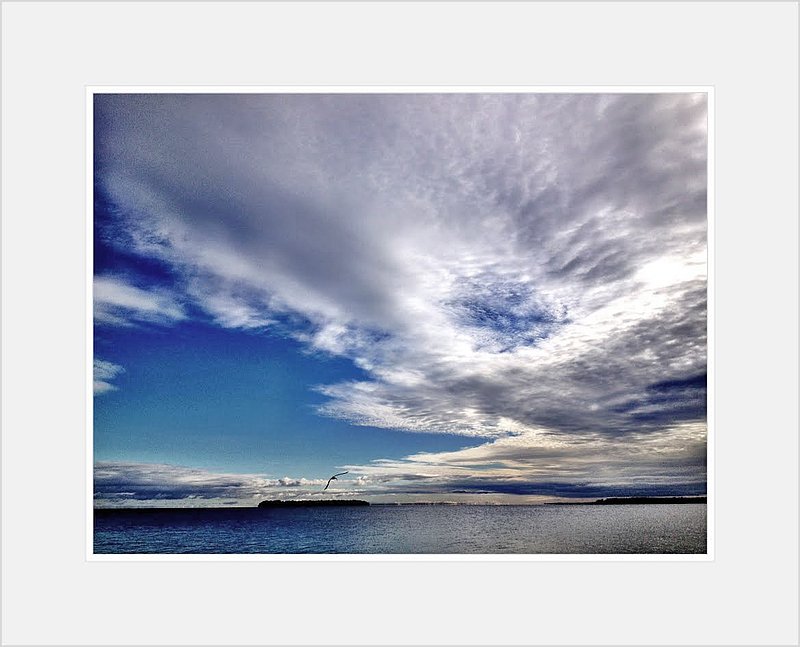 Big Sky  Gull.jpg