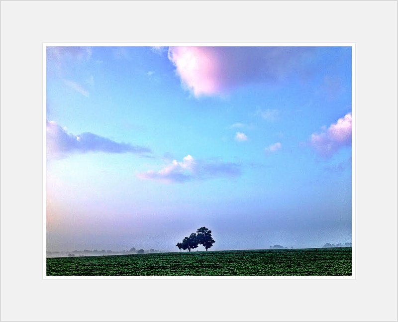 Blue Sky.jpg
