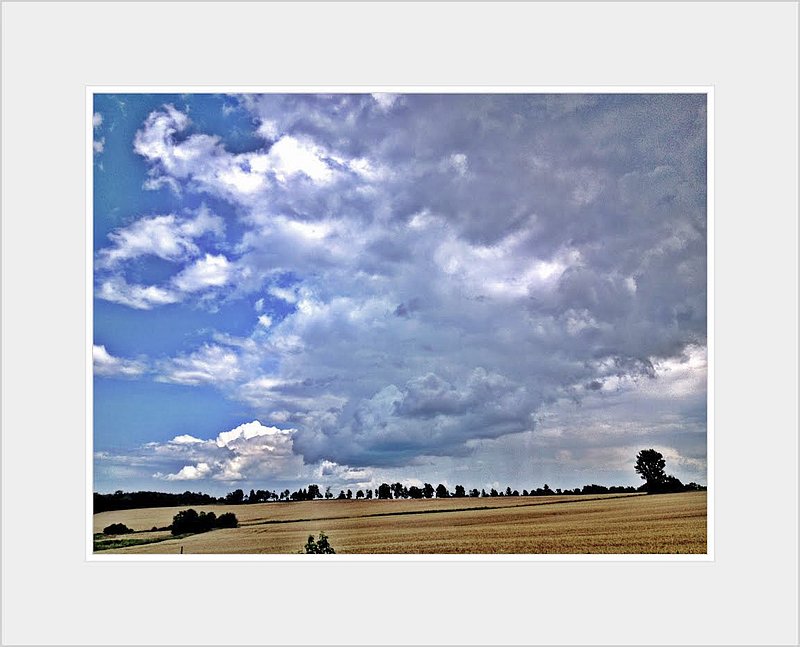 Brown Field.jpg